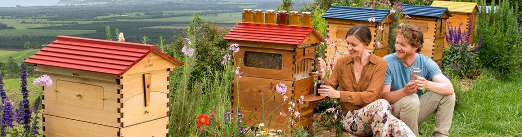 bee hive flow garden friendly